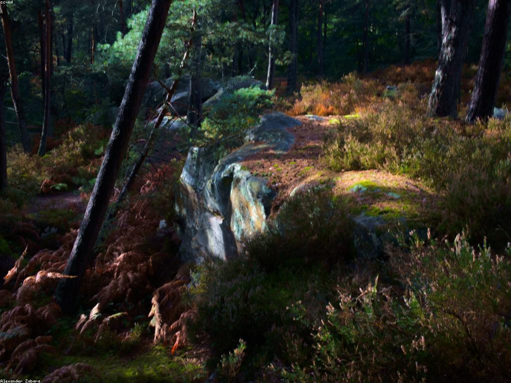 សារព័ត៌មានសម្ងាត់: ព័ត៌មាន និងការពិចារណា