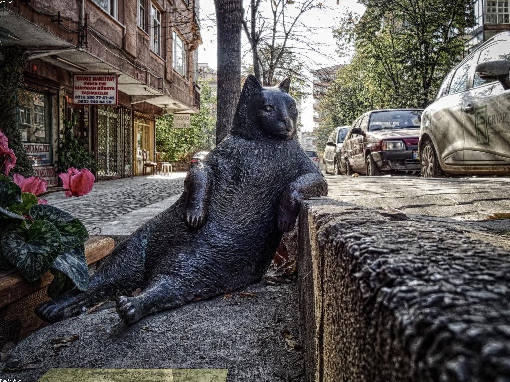 ព័ត៌មានថ្មីស្តីពីការផ្លាស់ប្តូរអាកាសធាតុ