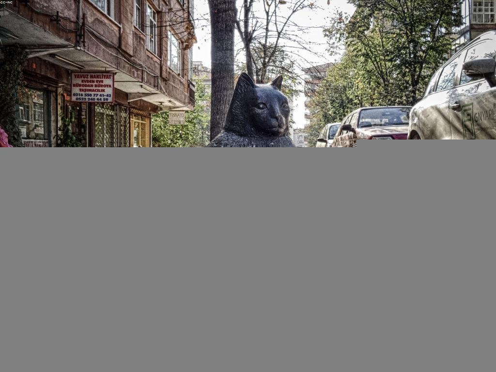 គំនិតសម្រាប់អ្នកដំណើរហ្គេម: តើអ្នកត្រូវរៀនអ្វីខ្លះ?