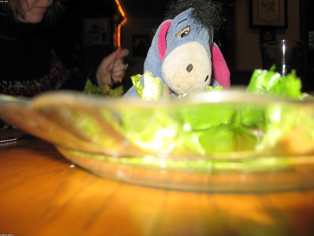 គន្លឹះសម្រាប់អ្នកដំណើរ