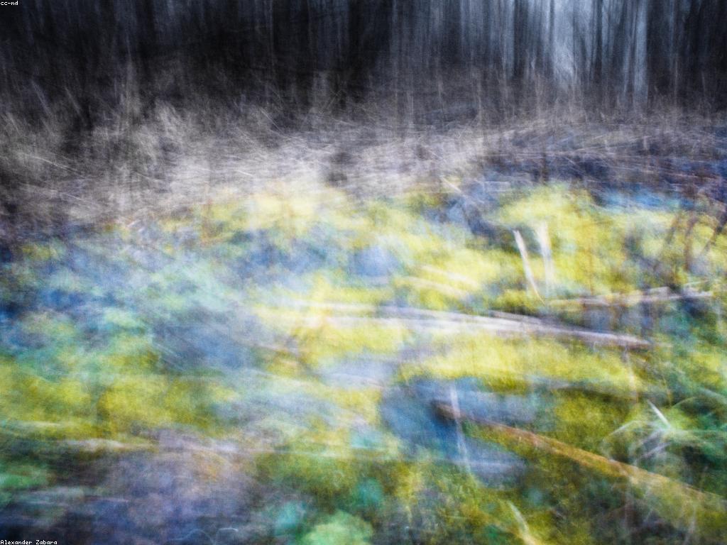 សារព័ត៌មានសម្ងាត់: ការពិជាការងារនៅក្នុងពិភពសារព័ត៌មាន